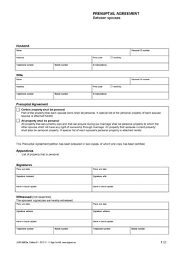 Prenuptial agreement - Between spouses registered partners