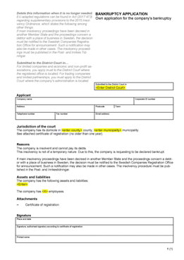 Bankruptcy application - Own application for the company's bankruptcy