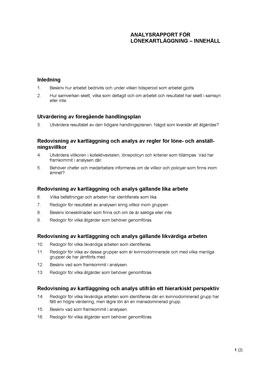 7. Analysrapport för lönekartläggning - Innehåll