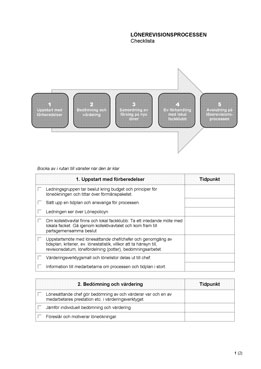 Lönerevisionsprocessen - Checklista