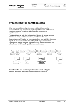 Processtöd för samtliga steg